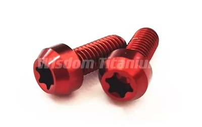 Titanium motorcycle bolts
